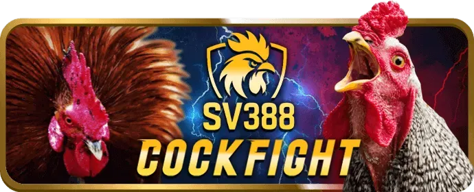 Video Slots